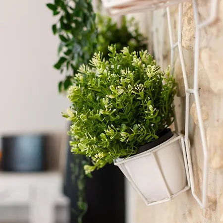 Panzió Abitarela - - 3*